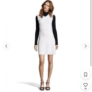 Nwot theory sweater dress